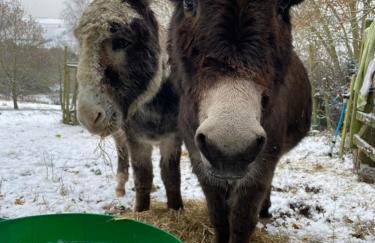 The Cabin at Shambala- now with sauna available to book! - Foto 19