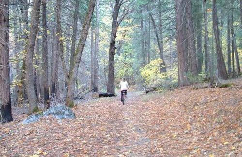 Wawona Home - Foto 27