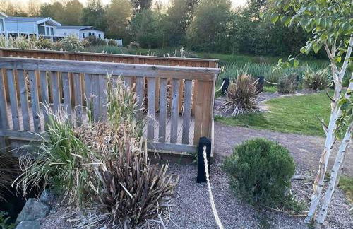 Prestige caravan,Seton Sands holiday village, WiFi - Foto 10