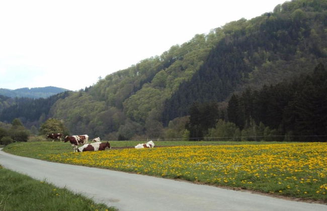 Marsberg Nature Nest - Foto 26