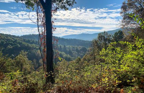 Christiansburg Home about 12 Mi to Virginia Tech! - Foto 44