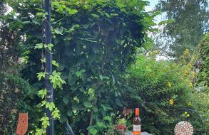 Ferienwohnung 3,2 km von Saarloius entfernt mit Terrasse und Garten - Foto 3