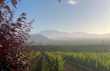 Moonglow Cottage - Foto 51