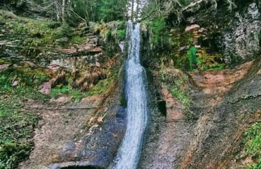 Traumhafte Maisonette-Wohnung im Schwarzwald - Foto 49