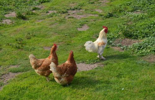 The Eclectic Coach House - Photo 25