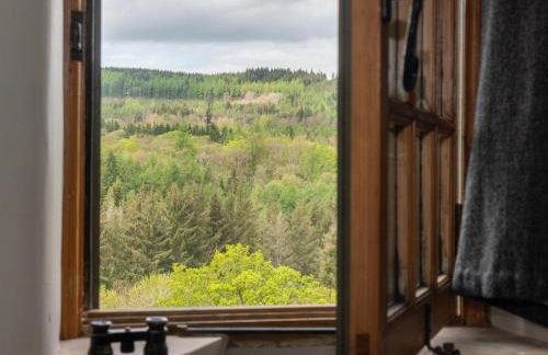 5 Bed in Selkirk oc-tower - Foto 15