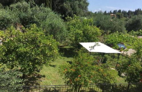 Green House!!! - Foto 23