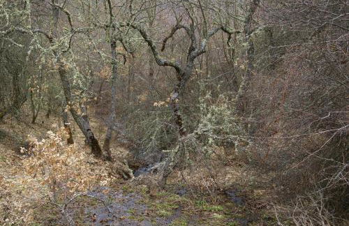 Casa Rural Aguas Frías I - Foto 55