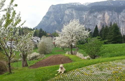 Casa Solaris - Foto 17