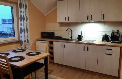 U Lubockich - Foto 22