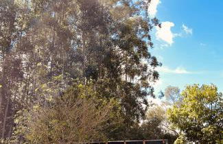 Cabana de teto de vidro - Foto 28