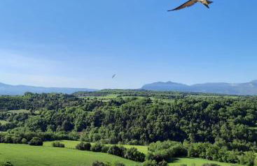 Corral de l'esquirol - Foto 23