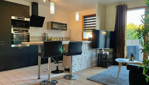 Séjour Business & Famille, 2 chambres, Parking & WiFi - Foto 4, stove, pet friendly, minibar