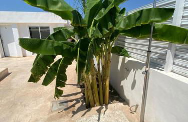 Villatella - Foto 17