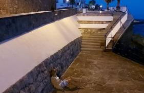 Relax and Quiet Apartment for remote working, with wonderful sea views in Poris de Abona, Tenerife - Canary Islands - Foto 37