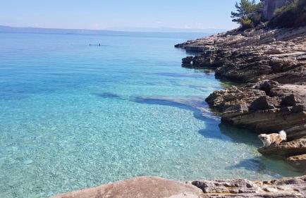 Apartmani Zalaz sunca - Foto 17