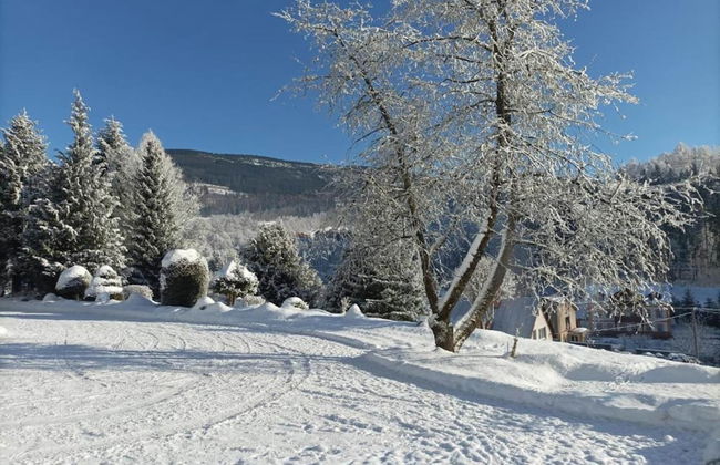 Attractive Apartment in Rokytnice nad Jizerou near Ski Area - Foto 36