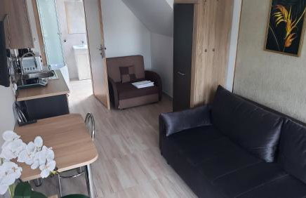 Pokoje gościnne Silver - Foto 2