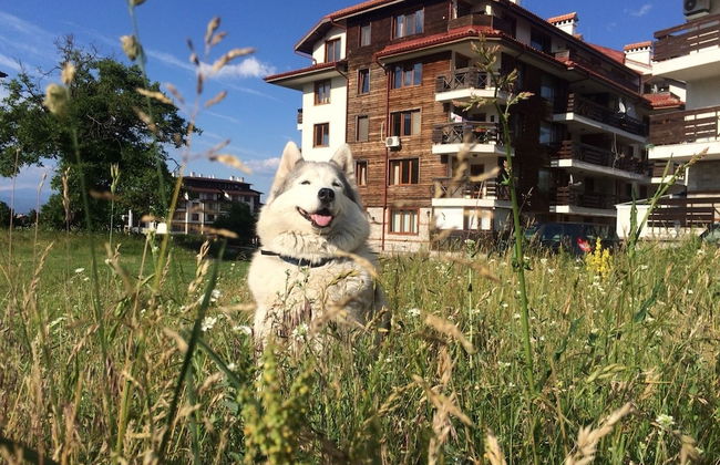 Four Leaf Clover Apartments to Rent - Foto 29