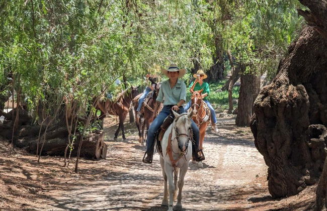 Disfruta de un paseo único a caballo por el viñedo con cata de vinos - Foto 1