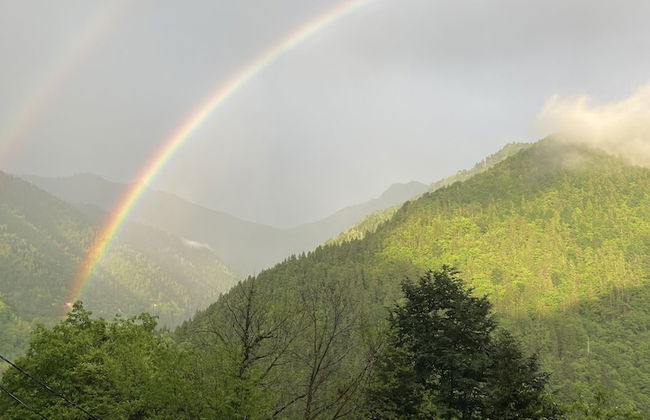 Leyli Comfort - Foto 7