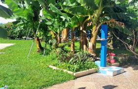 Estudio Playa Jardín - Foto 19