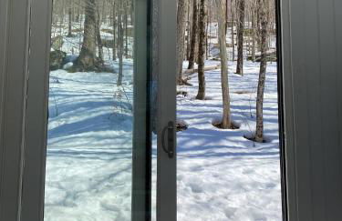 Fireplace Catskill Views Overlook Lake Cabin - Foto 45