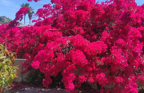 Villa Xauxa - Vida mediterránea - Foto 36