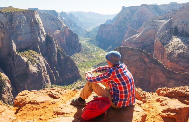 Zion Canyon & Valley of Fire Day Trip - Photo 4