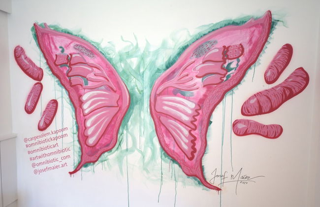 Appartements Toni - Foto 67