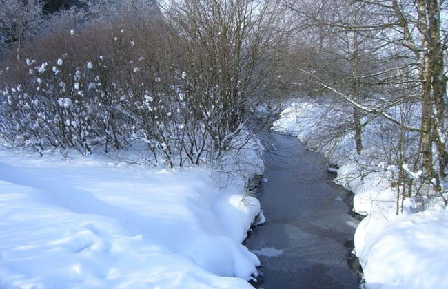 Scenic Villa Near Lake View - Photo 52