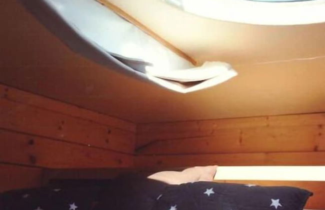 Le Domaine des Tuileries - Foto 17