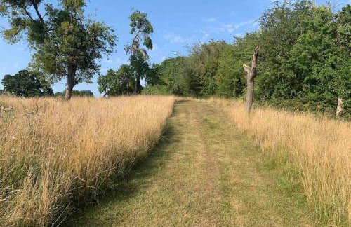 The Potting Shed - Photo 41