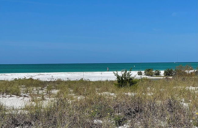 763 North Shore Downstairs 3 Bedroom Apts by RedAwning - Foto 17