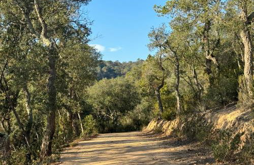 Casa Feliz Con Perros - Foto 19