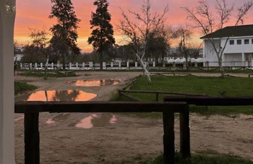 Lincea Home I Casa completa en el corazón del Rocío - Foto 48