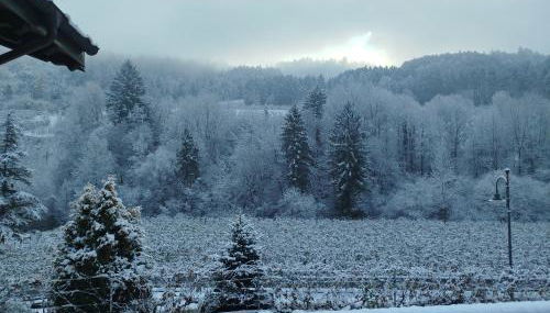 Agritur Casa al Mulino Camere - Photo 3