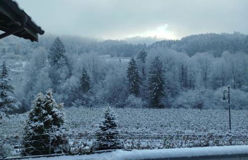 Agritur Casa al Mulino Camere - Photo 3
