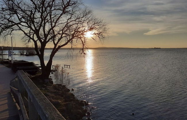 Dornbusch Apartment 3 - Photo 4