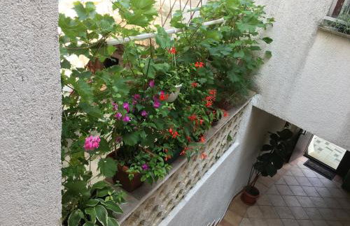 Apartment Lucija - Photo 16