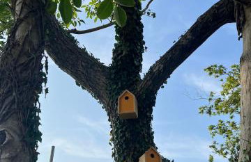 La Fontaine - Foto 36