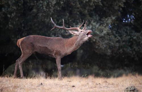 La Casa del Paseo - Foto 33