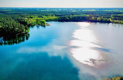 Dobrostan Domek w Naturze - Foto 53