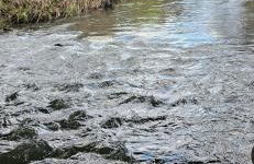 Southbridge Studio - Foto 19