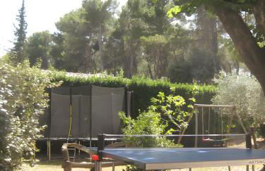 Gites Mas La Mounine - Foto 10