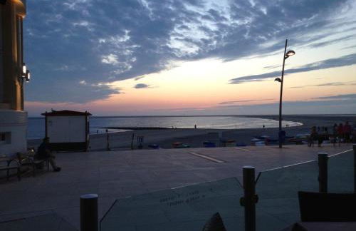 Borkumperle - Foto 17