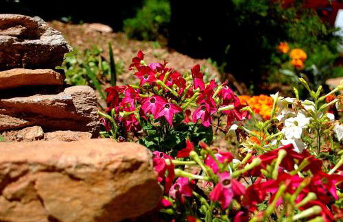 Domek Klimaty- Kamieńczyk - Foto 19