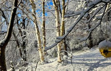 Auszeyt Edersee für Zwei - Foto 19