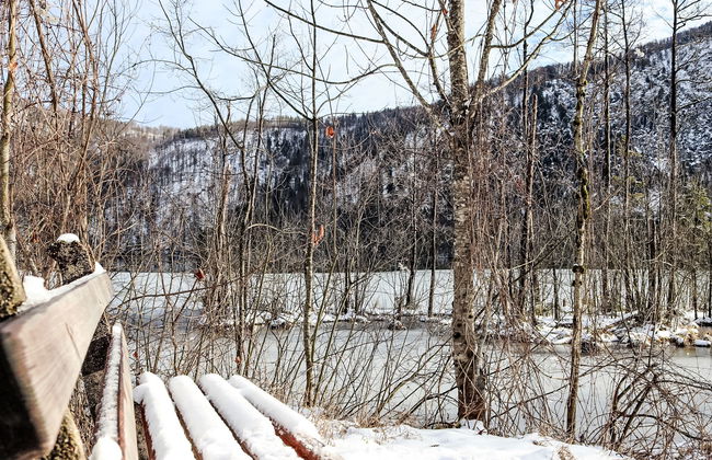 Adlerhorst / Top 5 - Foto 37