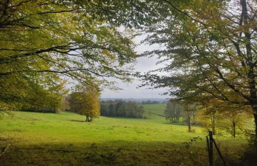 Glamping Tent in the Ardennes - Foto 34